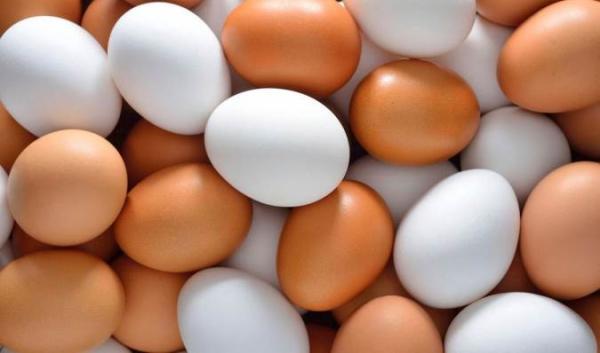 حساسیت و آلرژی به تخم مرغ و چگونگی درمان آن