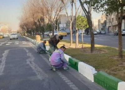 پاکسازی 50 کیلومتر از جداره های شهری در منطقه 8