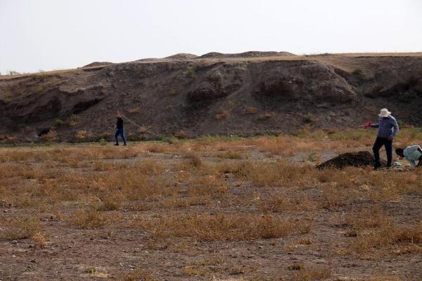 کشف نو باستان شناسان در مسجد جامع نوش آباد